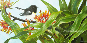 Tomtit and flax 2 acryli on canvas 40 x 20cms by Janet Marshall.jpg
